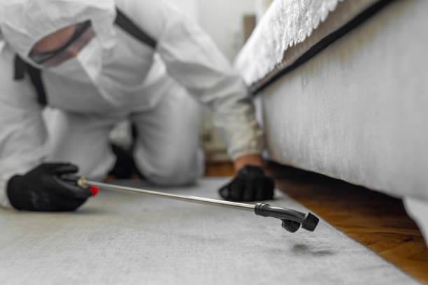 Professional Termite Control technician working in Stamps, AR