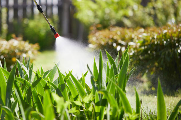 24/7 Emergency Termite Control experts in Stamps, AR